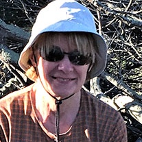 gill-web2 Gill Atkinson